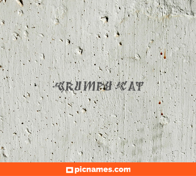 Grumpy Cat